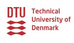 Organization logo: Technical University of Denmark
